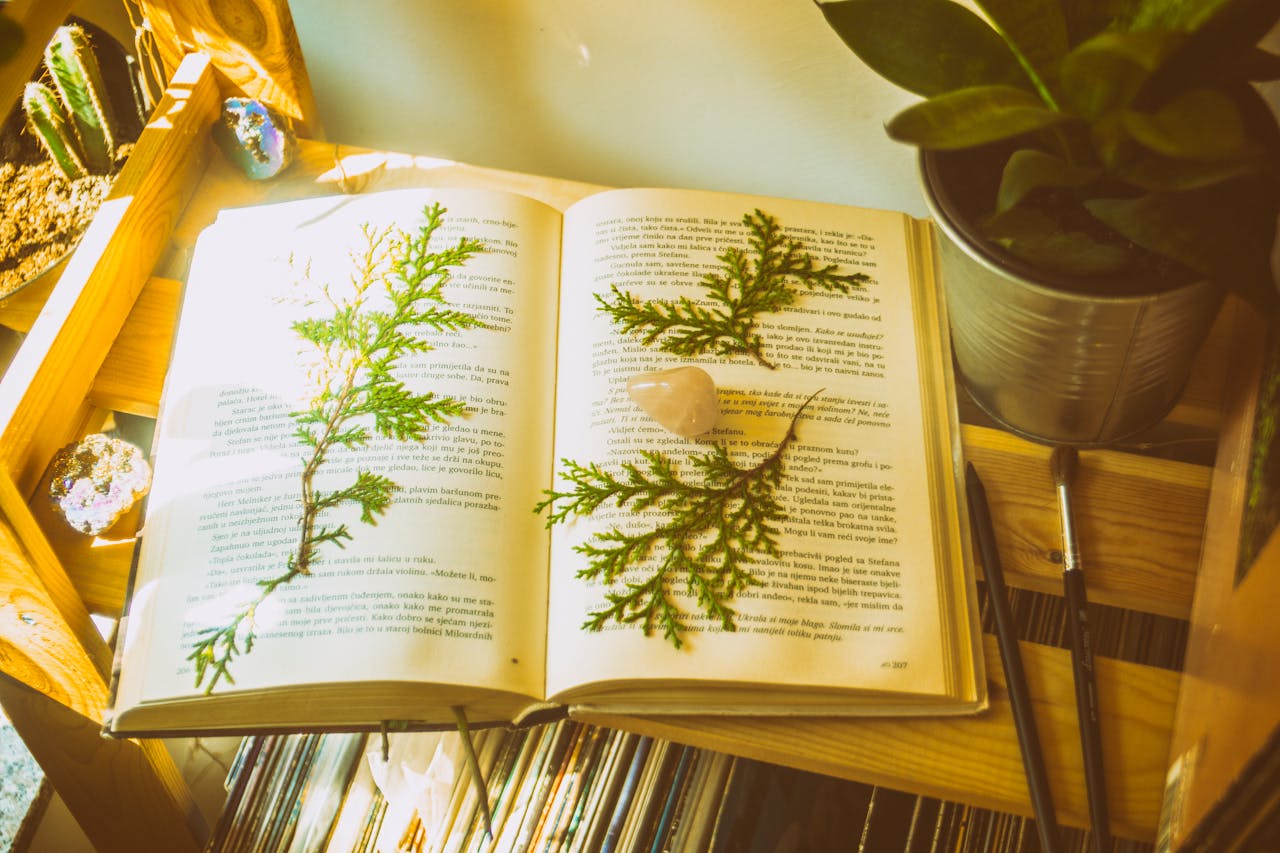 Crafting Captivating Headlines: Your awesome post title goes here An open book with pressed ferns and crystals on a sunny wooden shelf with plants.